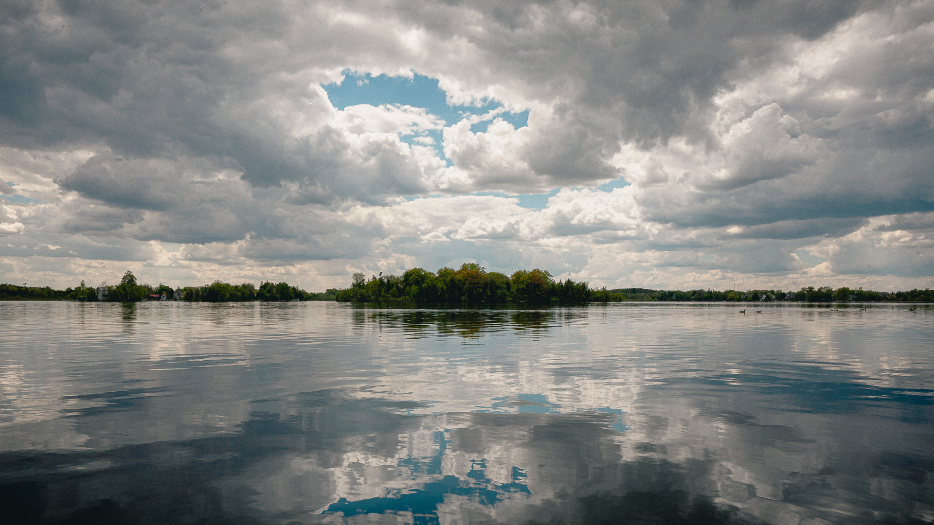 _MG_1585_2